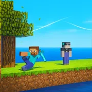 Minecraft Playground